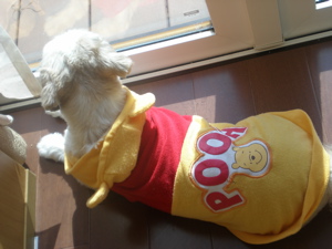 c0153444_6415615.jpg