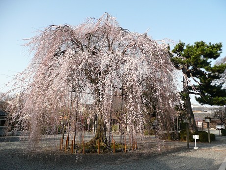 c0057946_2012148.jpg