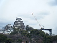 e0175148_2035525.jpg