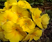 e0150849_2043362.jpg