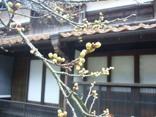 b0174451_1371921.jpg