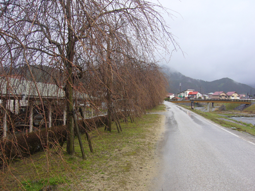 b0174451_9334627.jpg