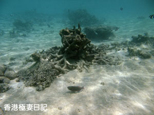 f0190653_10185342.jpg