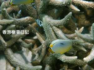f0190653_10192111.jpg