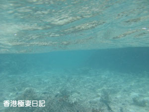 f0190653_10201430.jpg