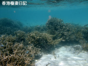 f0190653_10214890.jpg