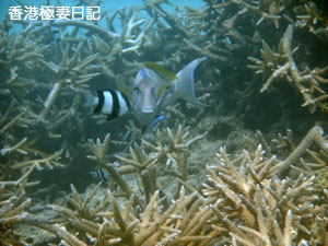 f0190653_1022079.jpg
