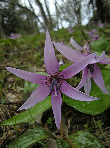 a0001354_201025100.jpg