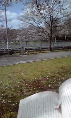 f0043559_15205899.jpg