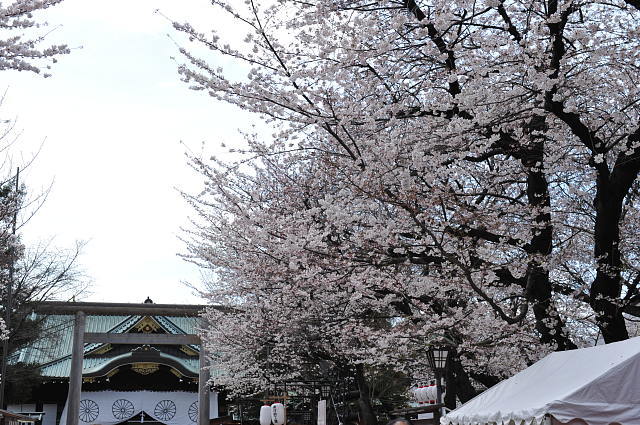 f0222161_23491458.jpg