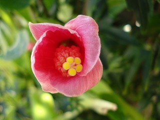 b0086362_1493981.jpg