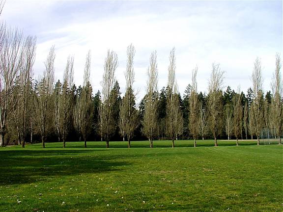 b0185262_15415637.jpg