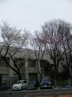 f0020662_051453.jpg