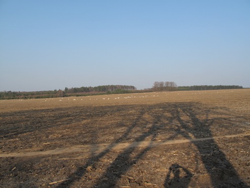 a0063364_2352756.jpg