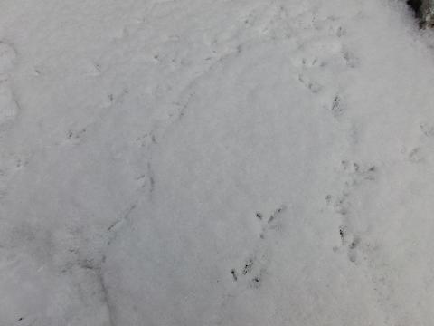c0127366_0221449.jpg