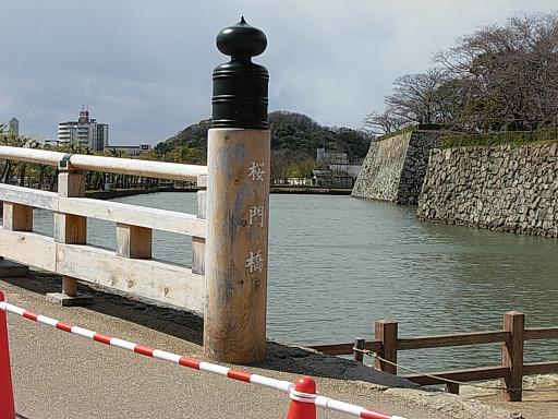 d0048366_632991.jpg
