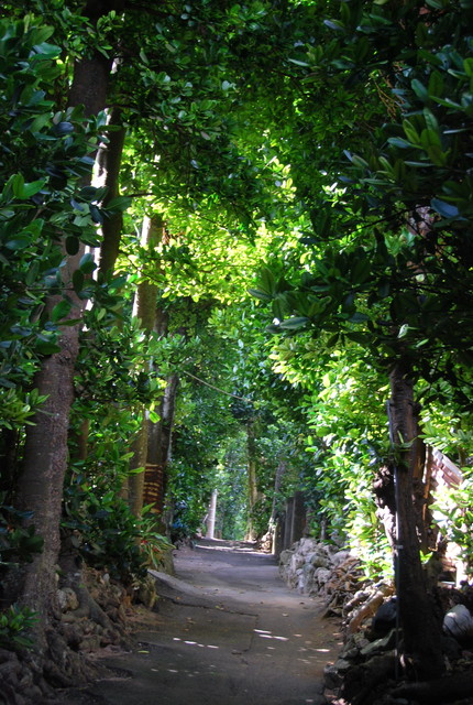 b0174068_22213835.jpg