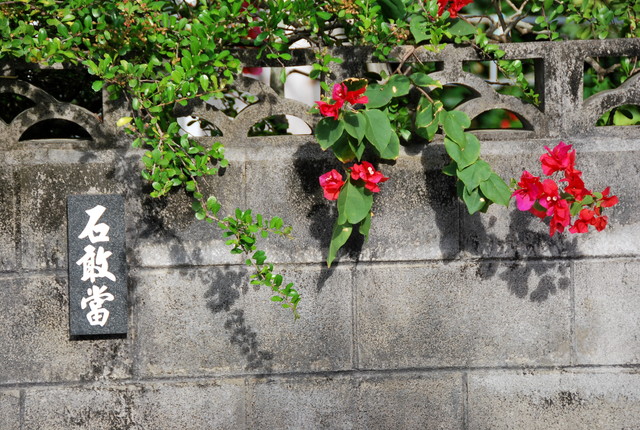 b0174068_2222940.jpg