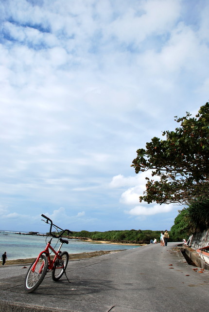 b0174068_22233613.jpg