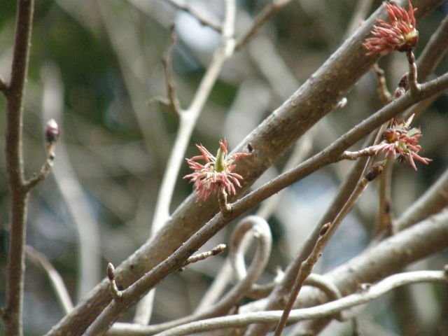 c0042869_6561957.jpg