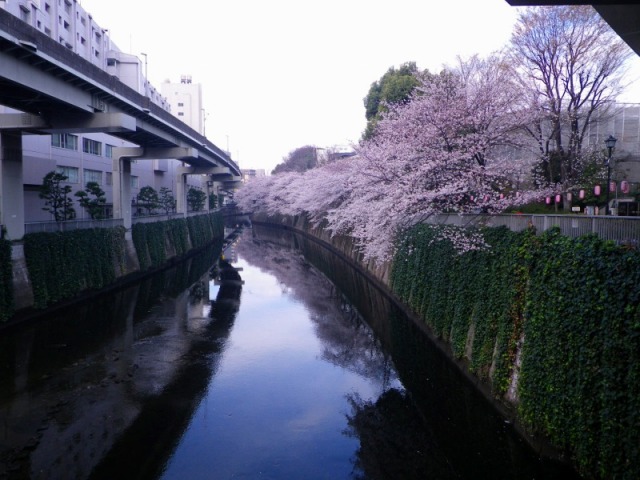 e0078069_2074311.jpg