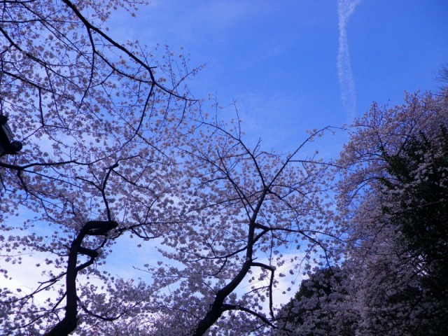 e0078069_2075099.jpg