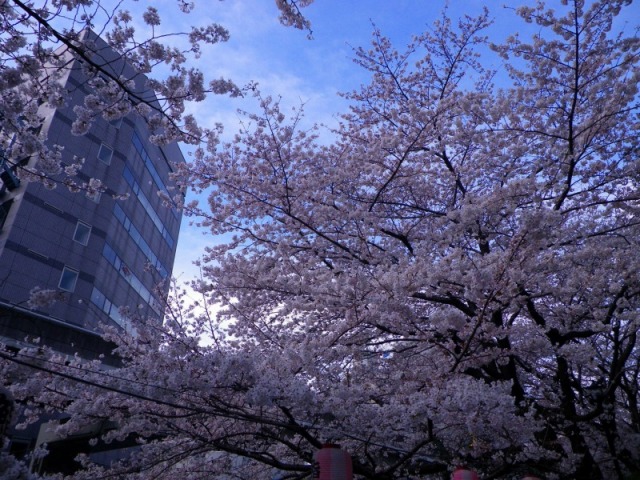 e0078069_2075845.jpg