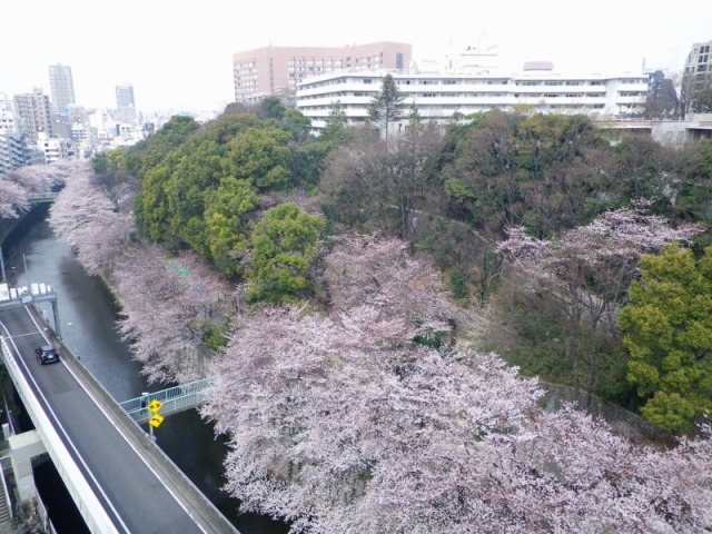 e0078069_2081514.jpg