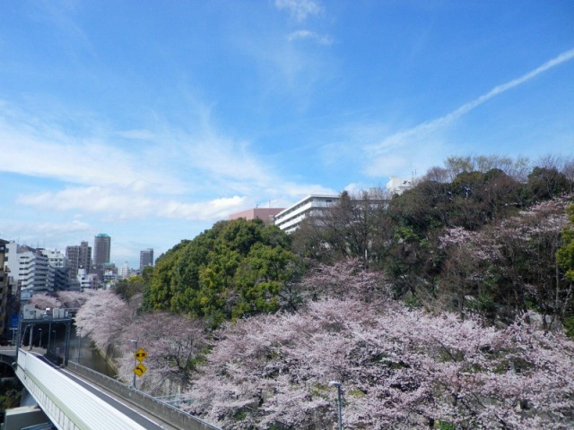 e0078069_20828100.jpg