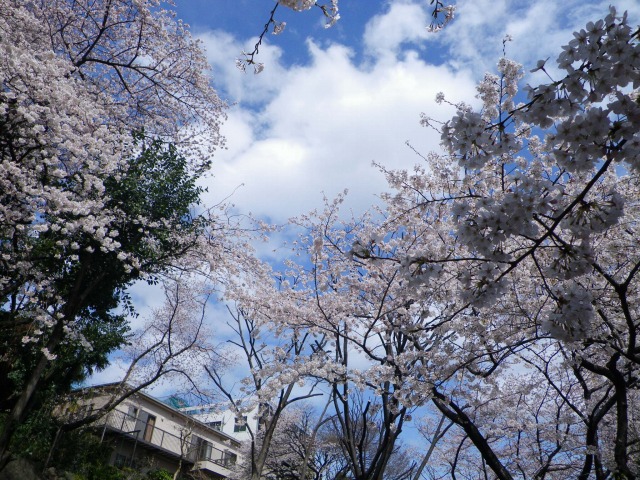 e0078069_2084682.jpg
