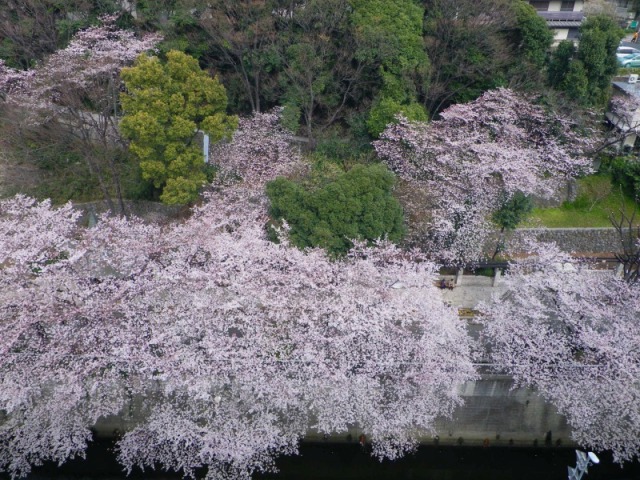 e0078069_208826.jpg