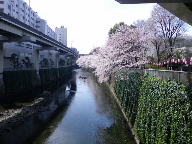 e0078069_20911.jpg