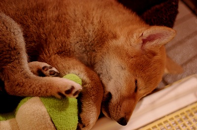 f0214771_11381537.jpg