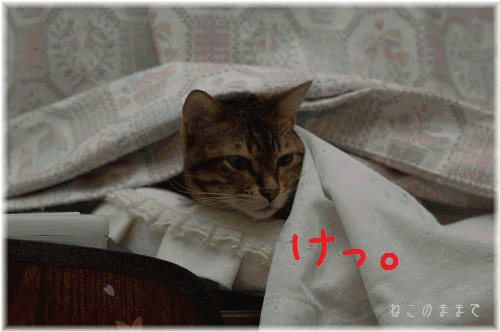 d0150672_20372065.gif