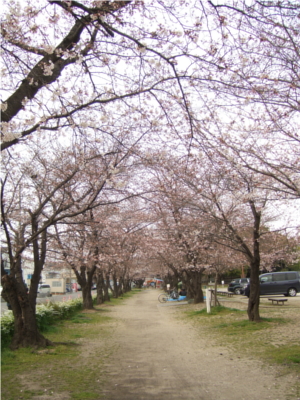 b0182178_20244639.jpg
