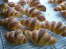 e0030587_714888.jpg