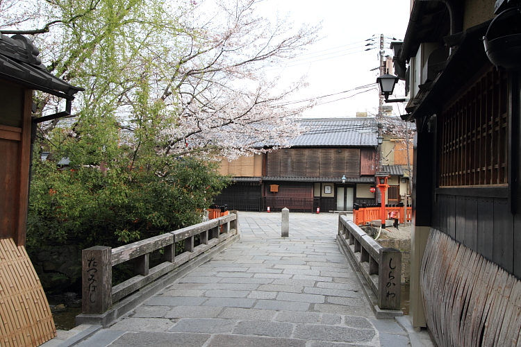 e0051888_413123.jpg
