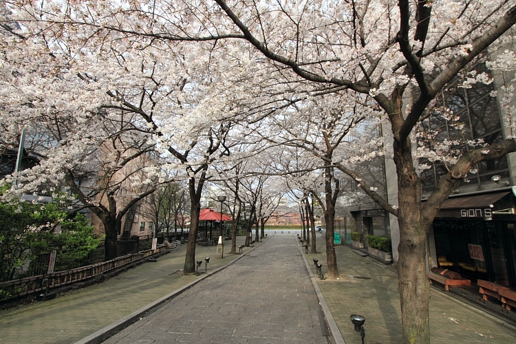 e0051888_4135624.jpg