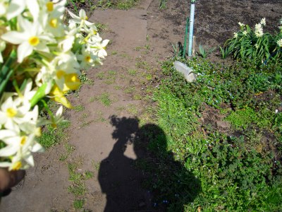 e0120294_014361.jpg
