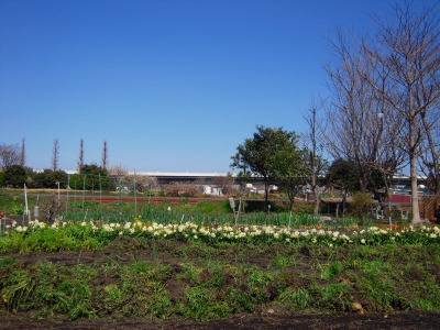 e0120294_0201955.jpg