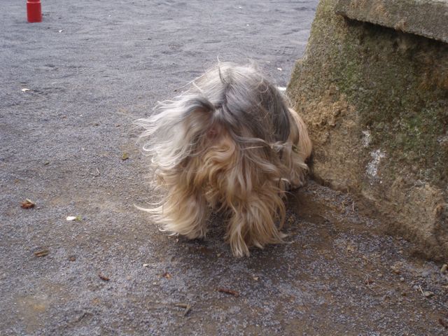 f0130894_21333271.jpg