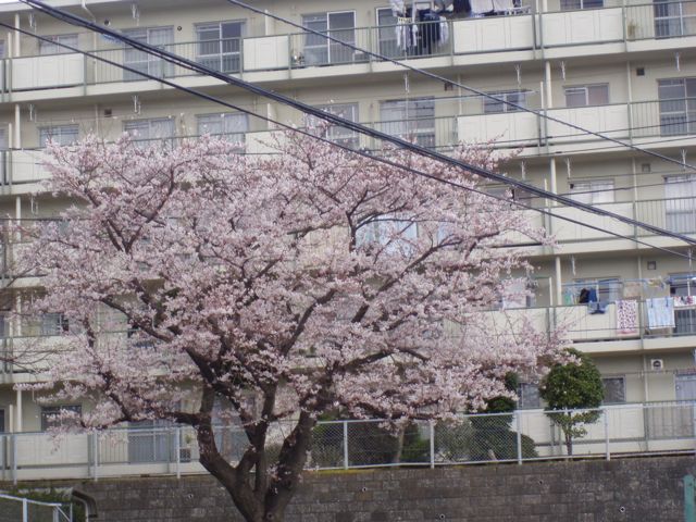 f0130894_21355364.jpg