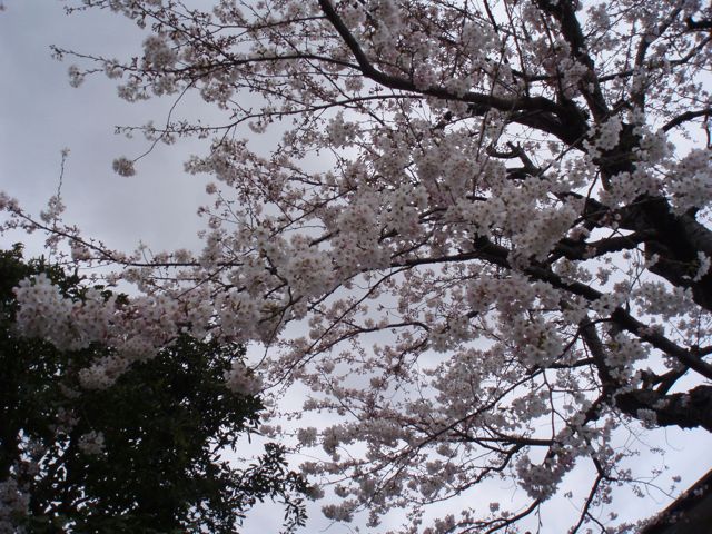 f0130894_2137125.jpg