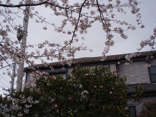 f0130894_21383997.jpg