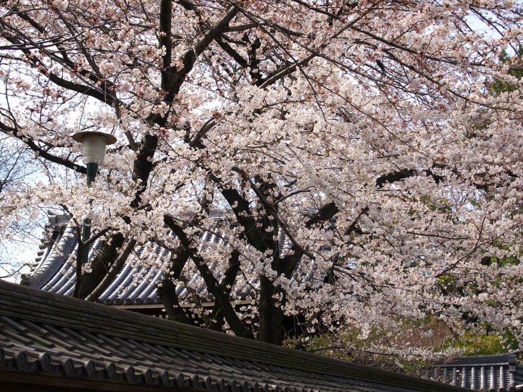 f0224100_6192940.jpg
