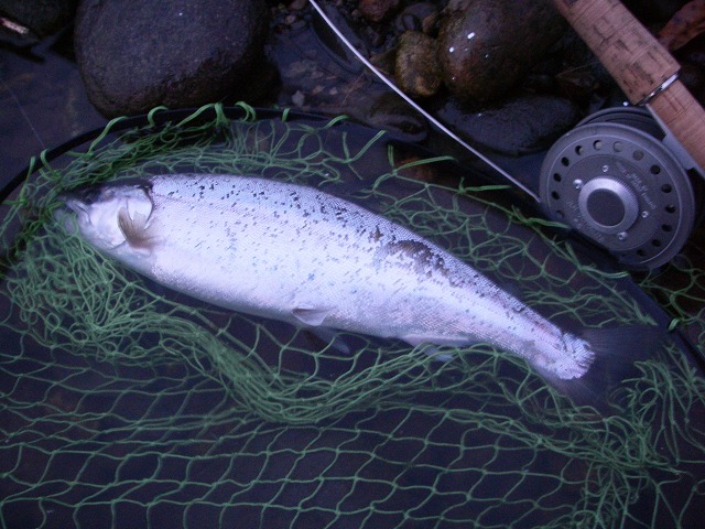 c0180802_2226373.jpg