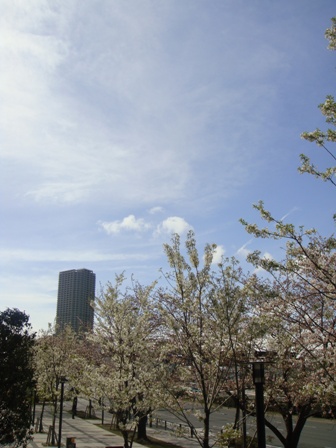 a0167803_6585890.jpg