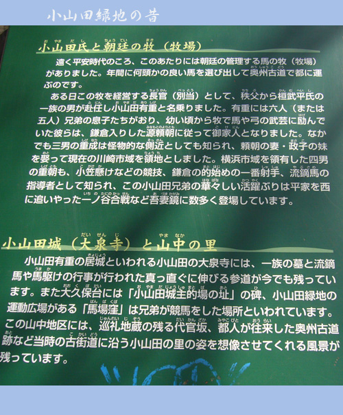 c0051105_22455959.jpg