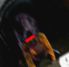 e0103408_14394134.gif