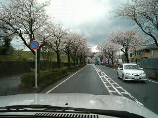 f0127408_2319167.jpg